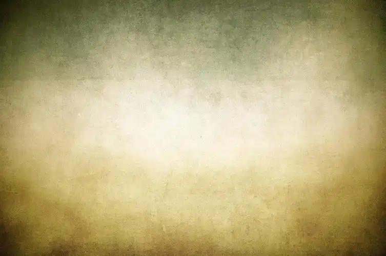 带有文字或图像空间的灰白背景