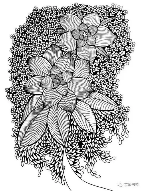 基础手绘练完这些线条你画出的线描就顺畅多啦