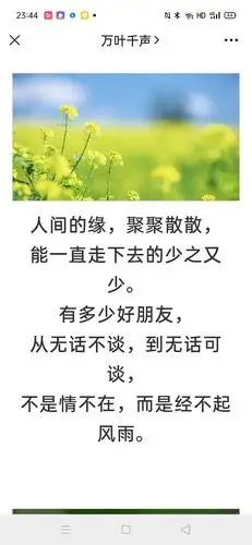 写美篇有人说, 朋友是一枝盛开的鲜花, 在相聚时为人们带来一缕芳香