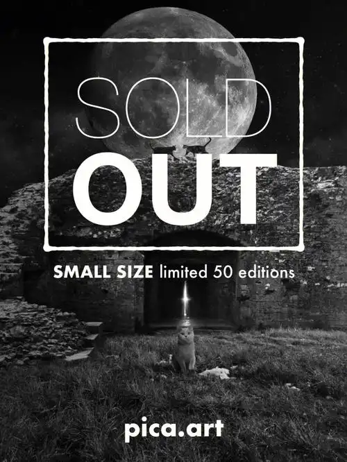 soldout托马什月光猫小尺寸售罄