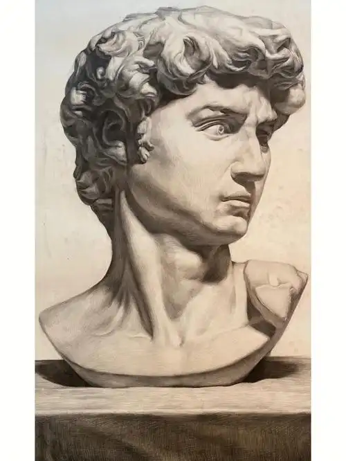 写生画画停停从短袖画到了棉袄真是笑死#素描石膏头像  #大卫石膏素描