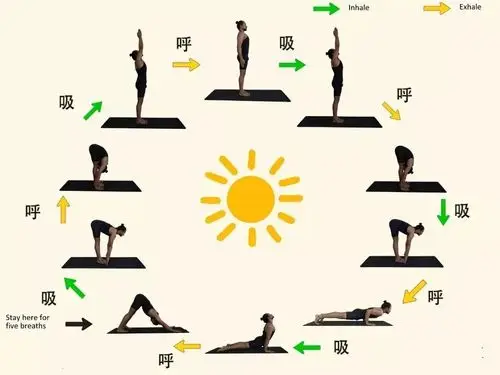 瑜伽拜日,在家不知道练什么不防每天就练这12个体式吧