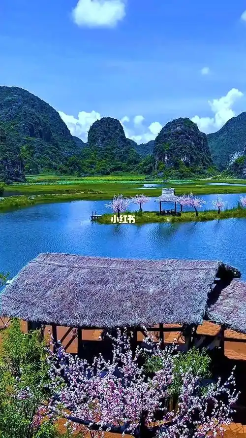 三生三世十里桃花