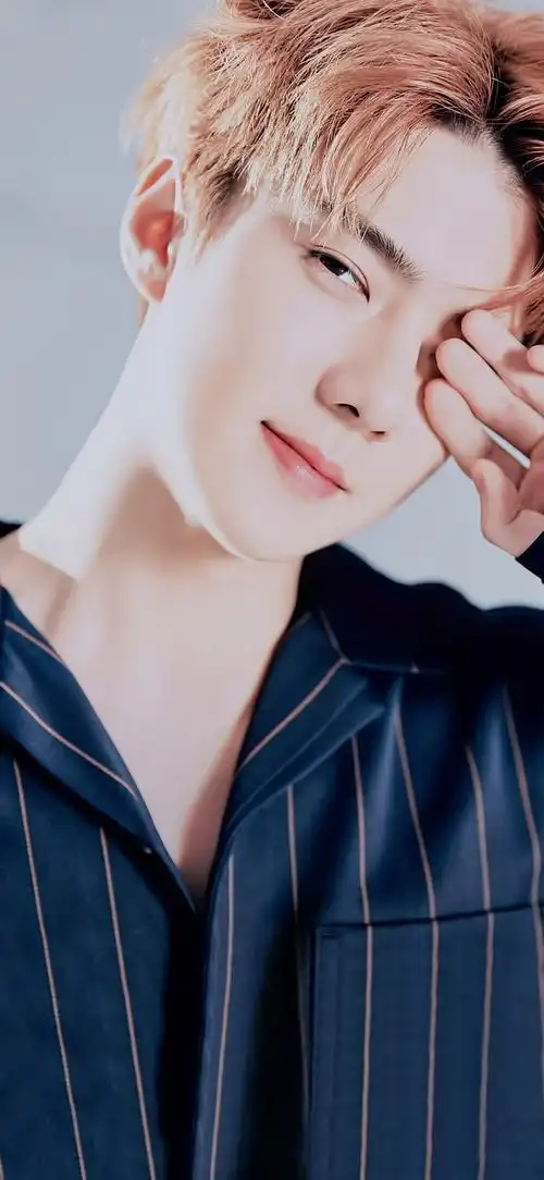 一些星际abo文学(五)(完)