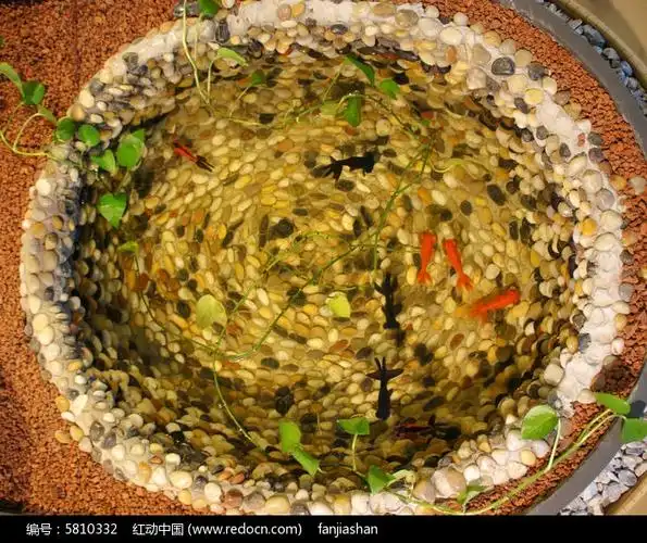 鹅卵石铺就的鱼池