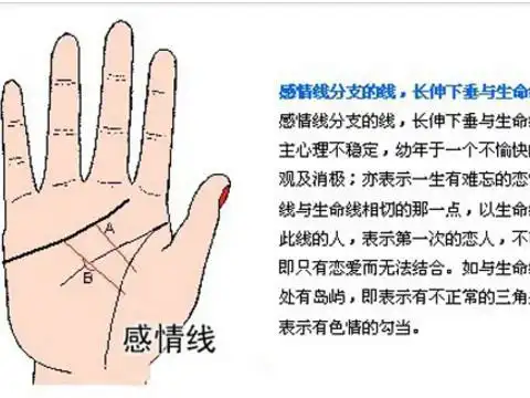 看手相算命图解女人感情