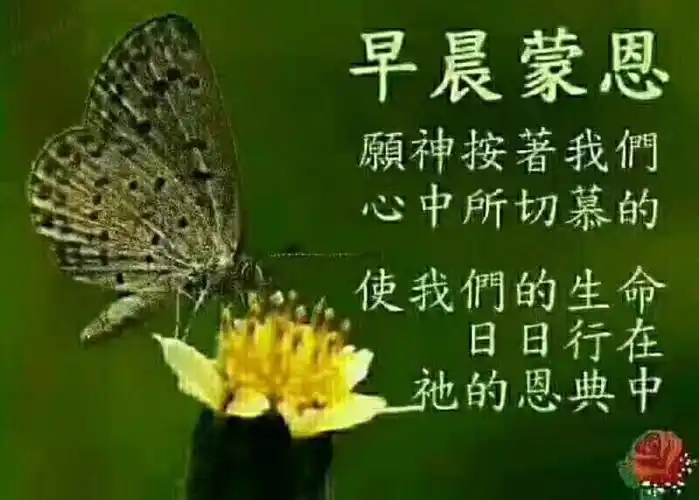 主耶稣基督,你是唯一的真神!