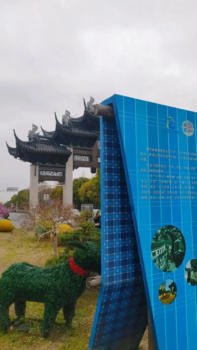 一起打卡最美油菜花,奉贤庄行菜花节.想在春天赏花,品茶,吃美 - 抖音