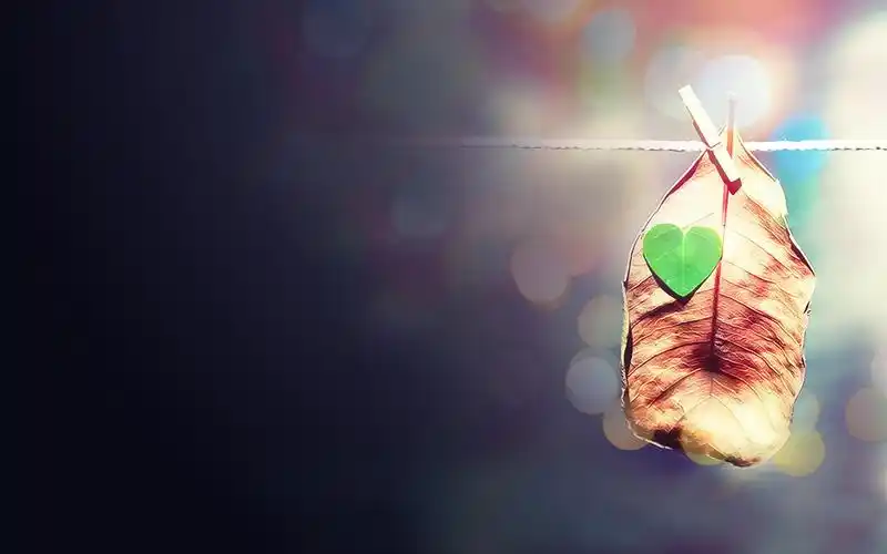 电脑壁纸 风景 qq空间唯美风景背景图