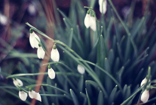 1044_700gif 动态图 动图