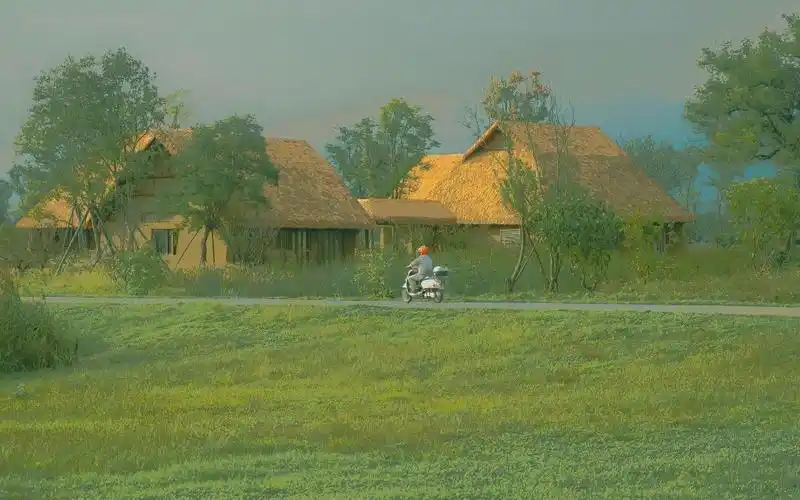 森系唯美治愈系自然风光,高清壁纸,风景图片-回车桌面
