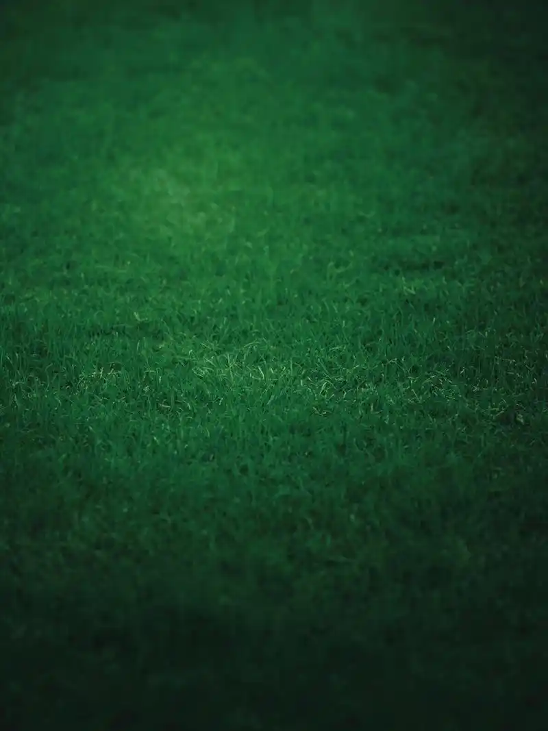 分享一组绿色护眼适合手机的壁纸 不定时会在分享我的原创壁纸.