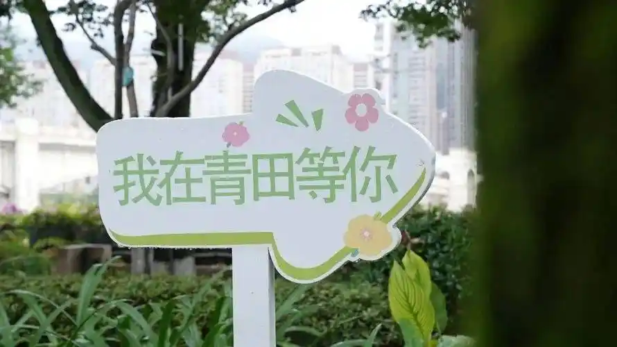 我在青田等你创意标语牌创意新颖,制作精美的设置安装了15处开放场所