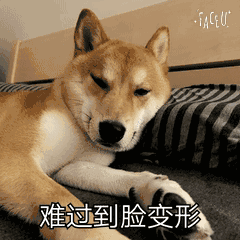 柴犬睡觉表情包 柴犬doge表情包-符号大全