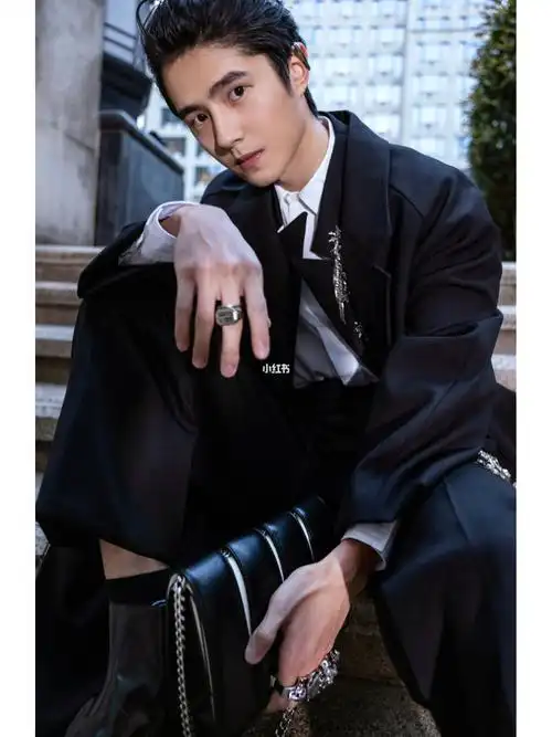 刘昊然手持alexander mcqueen slash手袋