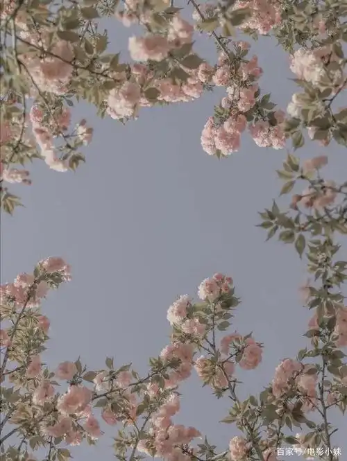 治愈系背景图,给烦躁的心放个假