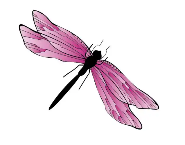 蜻蜓 矢量图设计图__昆虫_生物世界_设计图库_昵图网nipic.com