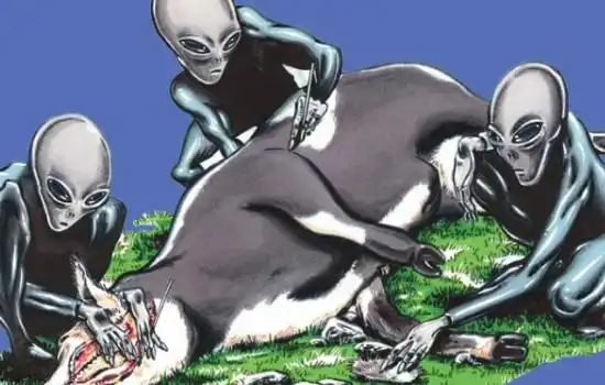 史上最离奇的屠牛事件,母牛器官被割走(专家猜测外星人所为)