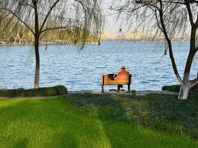 春天的西湖很美好