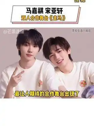 这次小马和小宋的合作舞台《走马》…|走马|马嘉祺|表演_新浪新闻