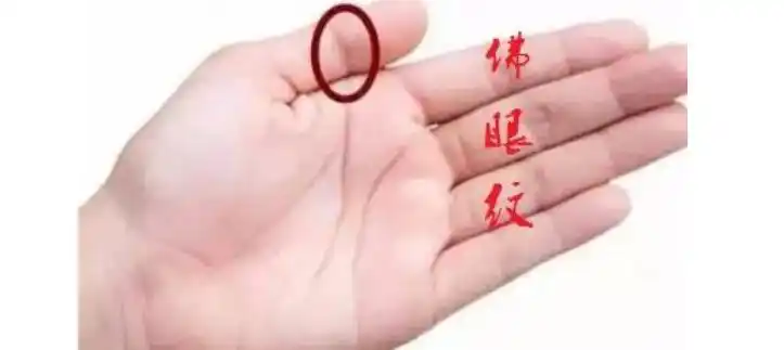 凤眼纹和佛眼纹的区别