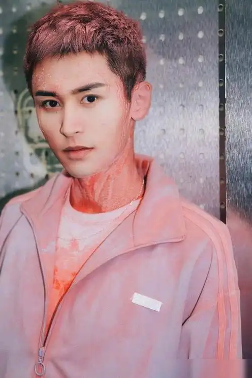 张哲瀚晒粉色发色大片,网友评论区花式留言引爆笑|快本|型男_网易订阅