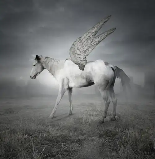 pegaso,漂亮的白马与翅膀代表在该字段中的传奇 pegaso 和戏剧性天空