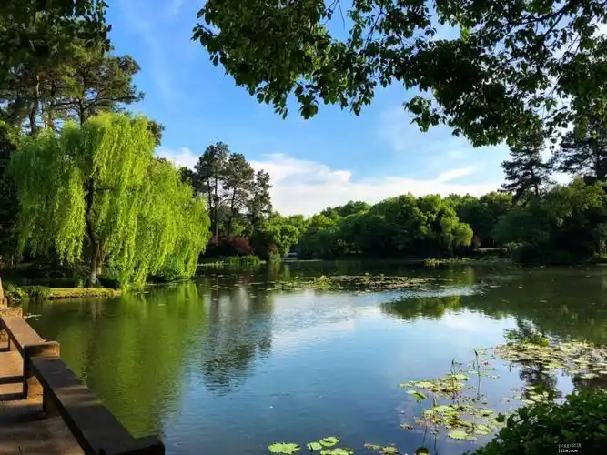 关门之前分享几张西湖的照片