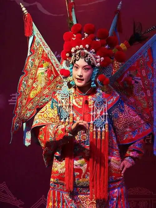 豫剧30《穆桂英挂帅5》(马金凤)