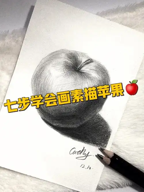 七步学会画素描苹果初级素描