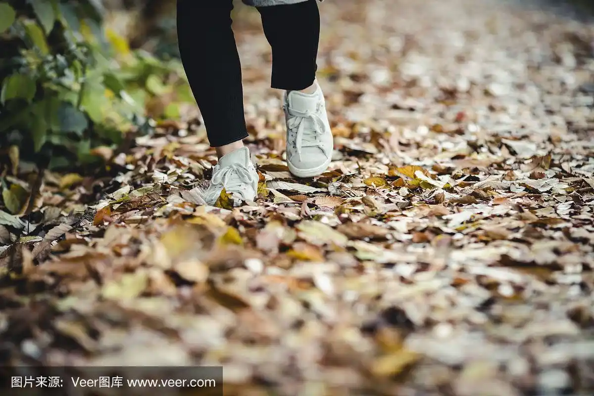 女人的脚踩在落叶上