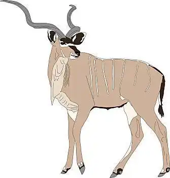 头像,大捻角羚,羚羊,矢量,插画,隔绝,白色背景,背景