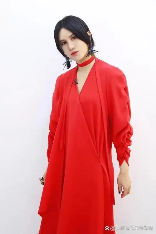 尚雯婕:从《超级女声》冠军到多元音乐创作的引领者 尚雯婕,1982年