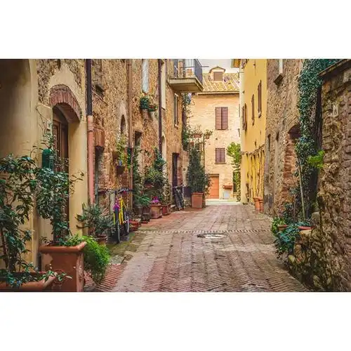 欧洲复古怀旧建筑小镇老街街景背景背景墙墙纸定制壁画