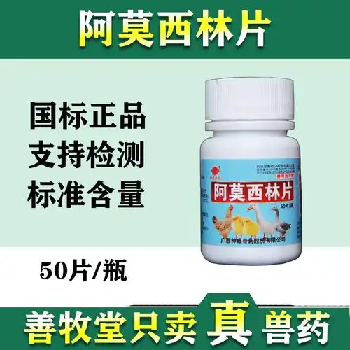 兽药阿莫西林片宠物猫狗犬抗炎药感冒发烧50片鸡药鸽子鸟药 批发