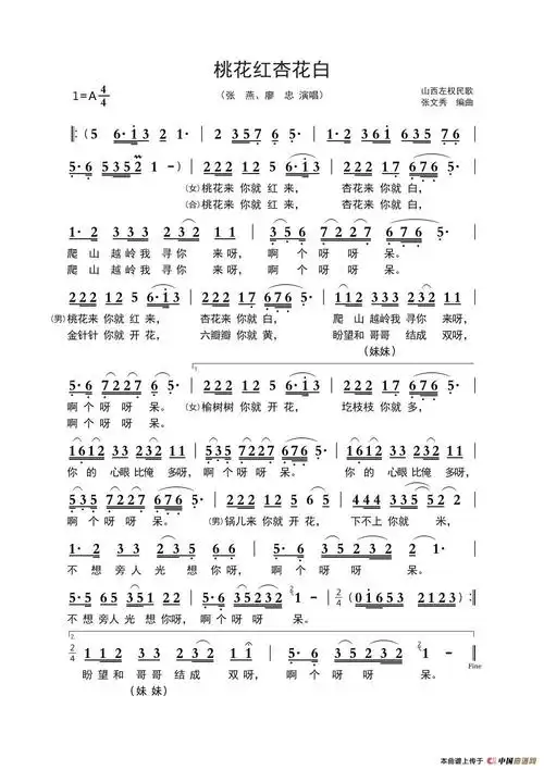 67桃花红杏花白张文秀编曲张燕廖忠演唱版