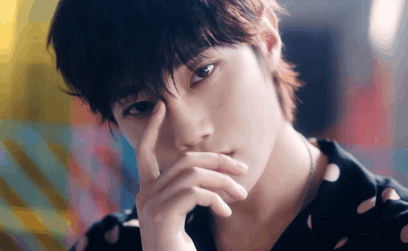 珍藏的十一只壶弟弟的动图分享