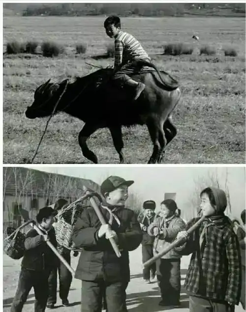 一组张老照片60后70后80后的记忆回不去的童年张张戳中泪点