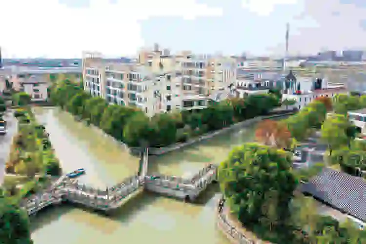 奉贤区南桥镇杨王村_2019年示范村(第二批)_上海市农业农村委员会