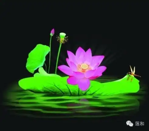 佛教莲花qq头像图片莲花佛字图片大全佛教图片_禅意