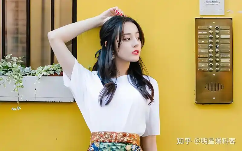 娱乐点评迪丽热巴范丞丞孙怡李诞郑合惠子张纪中