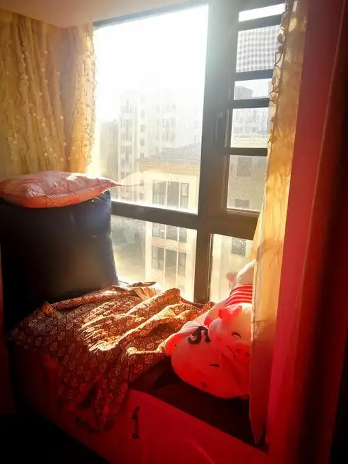 寒风中的阳光贵如金