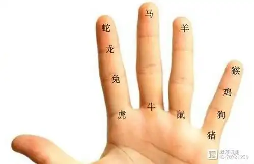 超简单,教你一只手五根手指,记住十天干,十二地支,星座和生肖