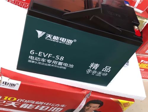 天能蓄电池6-evf-5812v58ah洗地机三轮车干电池48v60v58ah电动车电池