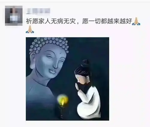 手机搜狐网