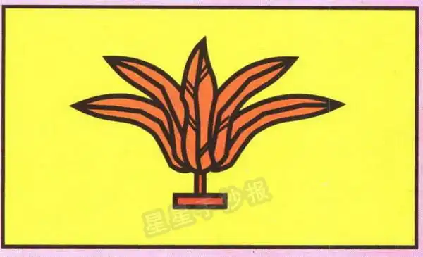 鸡毛毽子简笔画