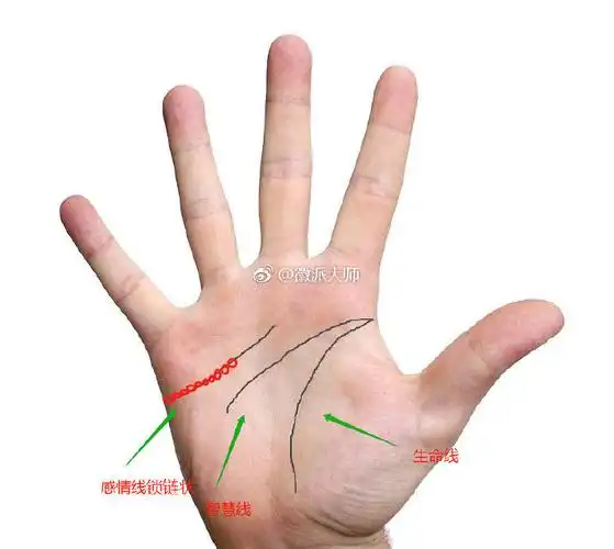 什么叫岛纹,岛纹就是在三条主纹路上的一个. 来自徽派大师 - 微博