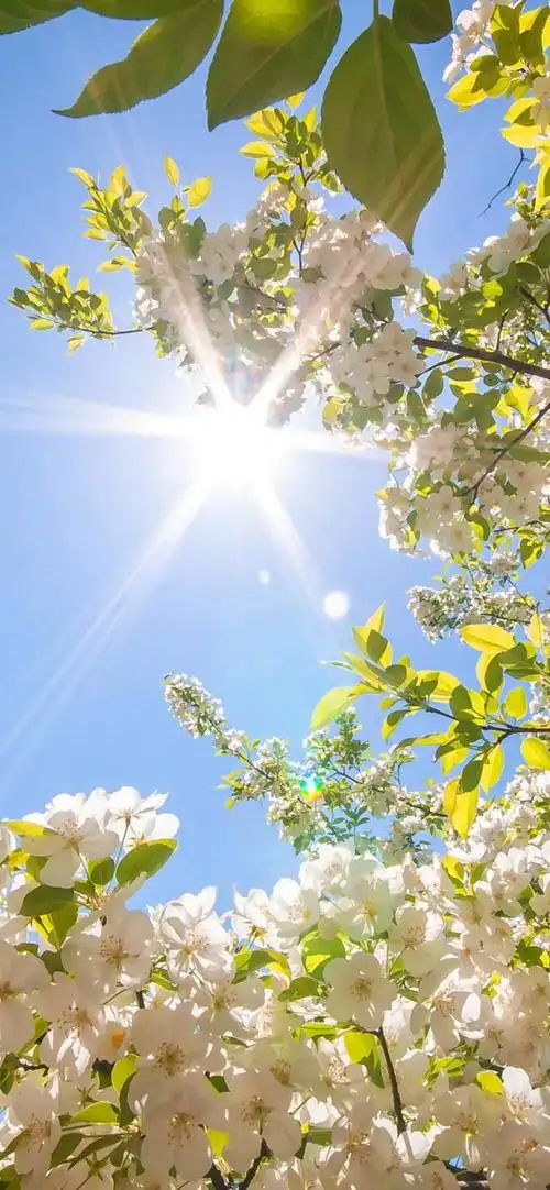 【一加7pro超清全面屏壁纸第二弹】占满屏幕亲测可用