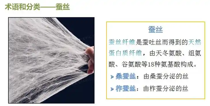 快速区分蚕丝与聚酯纤维的方法#蚕丝 #桑蚕丝 #真假辨别 # - 抖音