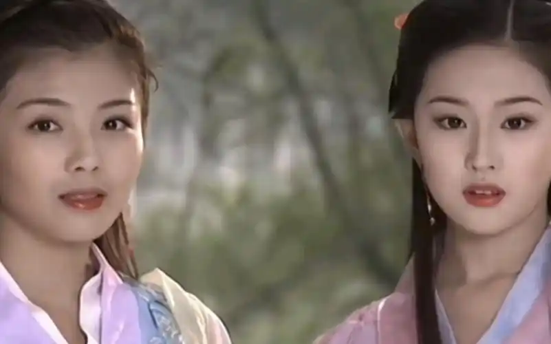 【刘亦菲/刘涛】美的各有特色